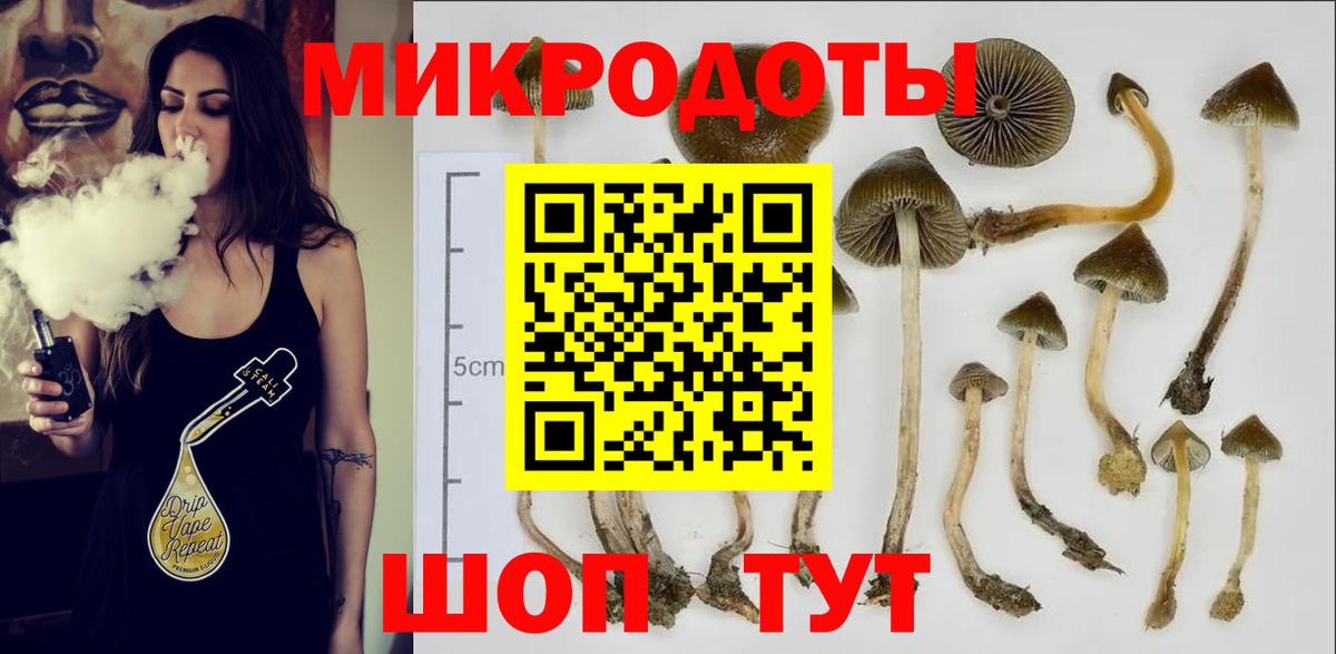 Сланцы  как найти закладки  Галлюциногенные грибы мицелий  Вход с VPN  Галлюциногенные грибы Cubensis 